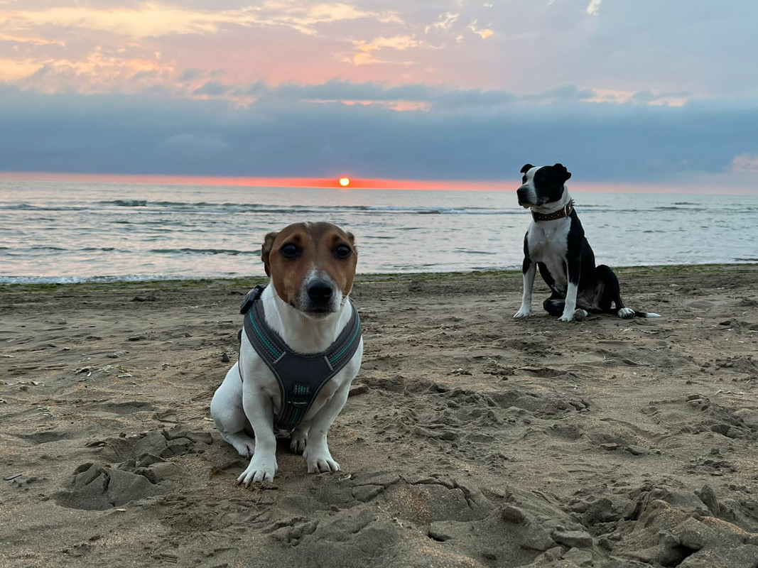 EFA3436A-E20B-4018-B9A0-B2F4E0D84C1A