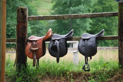 saddles for sale