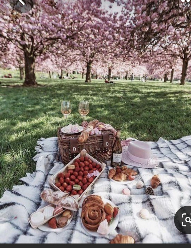 Screenshot_20230501_224521_Pinterest