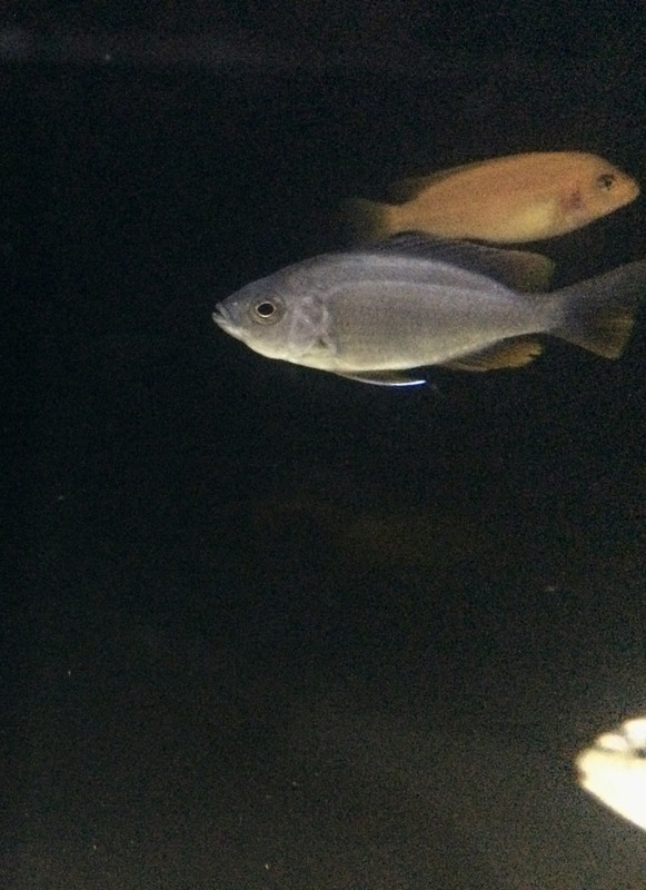 2AC5ECC0-D1D9-4B85-8D23-20261FA0D62F