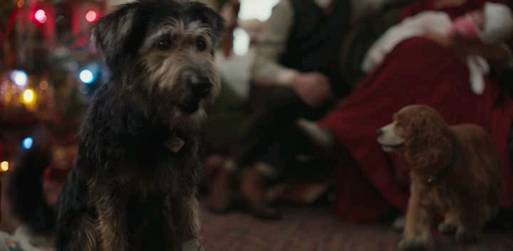 Lilli.E.Il.Vagabondo.2019.iTALiAN.WEBRiP.AC3.XviD.avi_snapshot_01.35.30.313