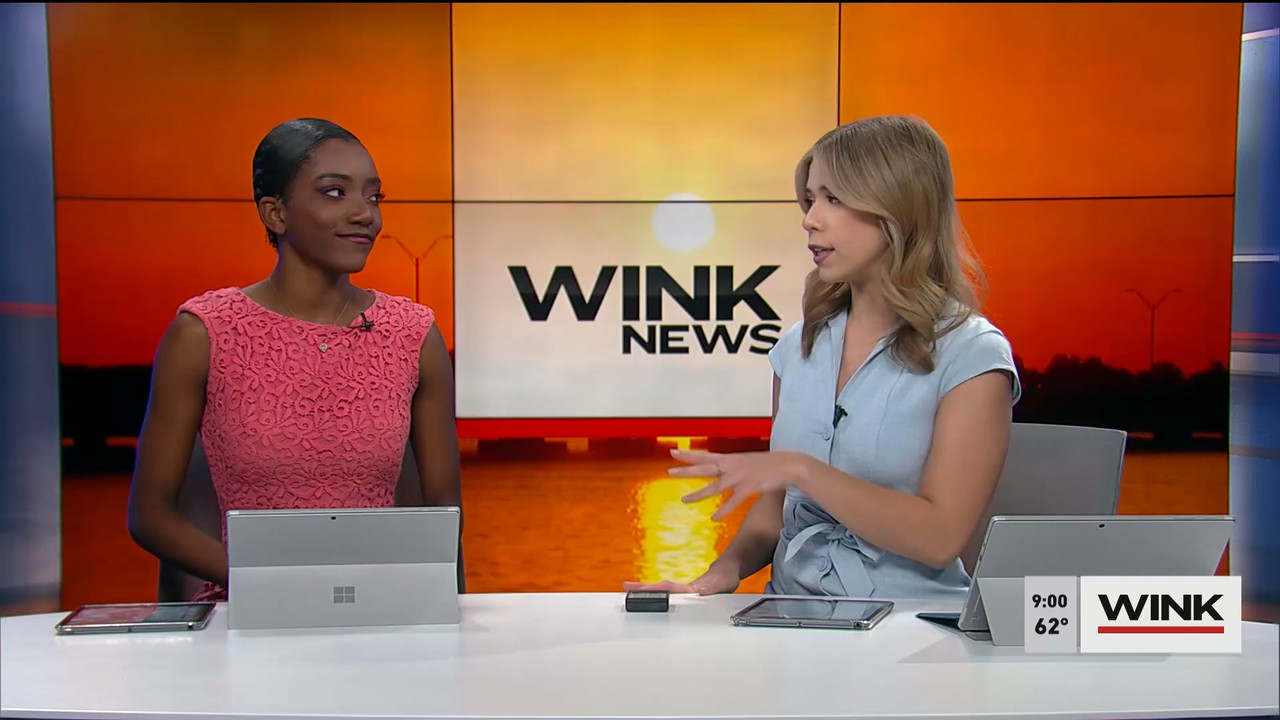 01.28 - 14.00.00 - WINK News at 9 00AM  ᴺᵉʷ. Morning news.ts_snapshot_00.07.08.639