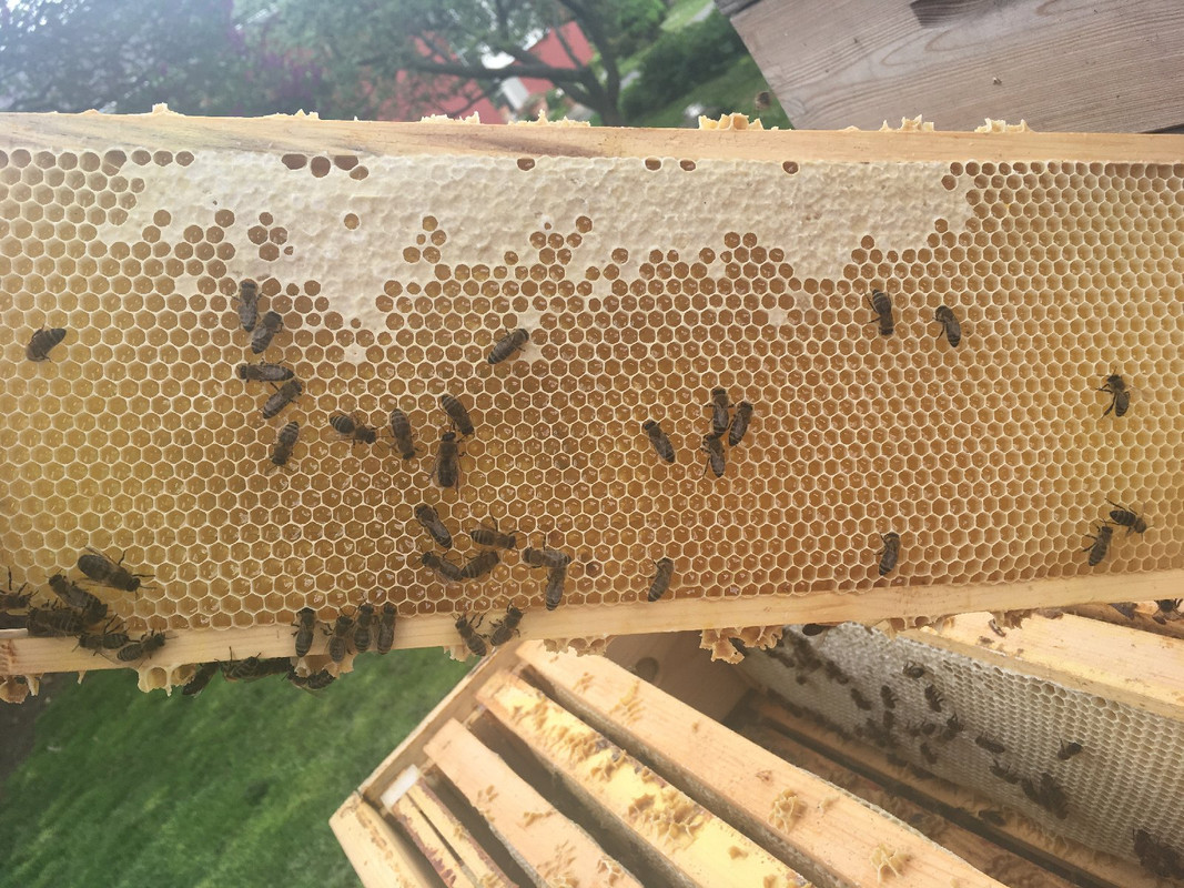 BDDFB527-396E-4BE7-9E51-F124EF5A849E