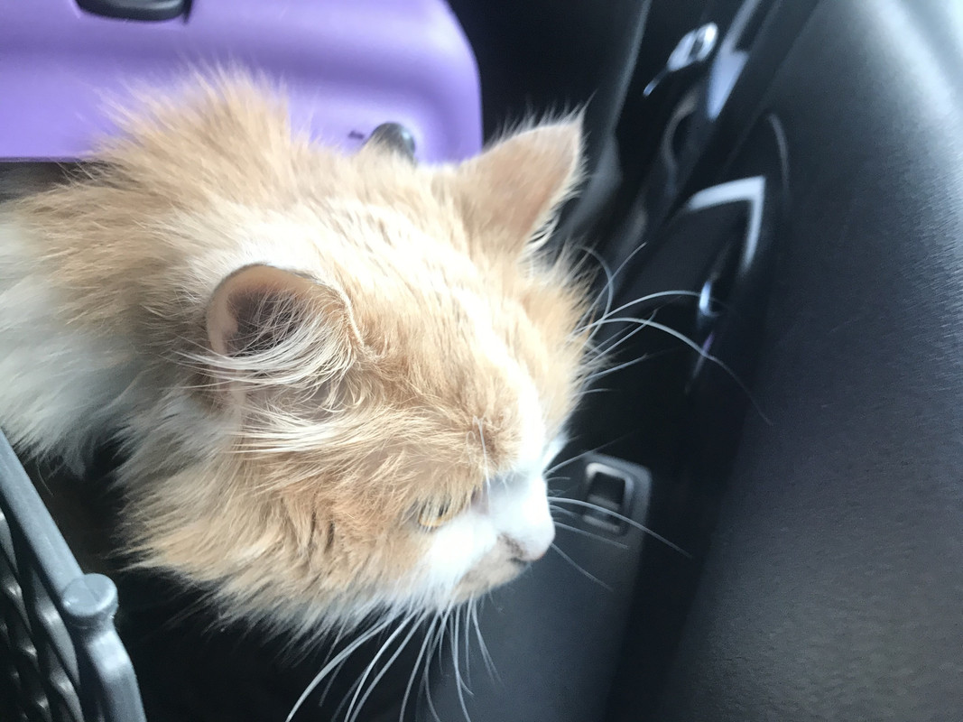 CFB90306-EC0A-4D31-94B0-825D90C50962