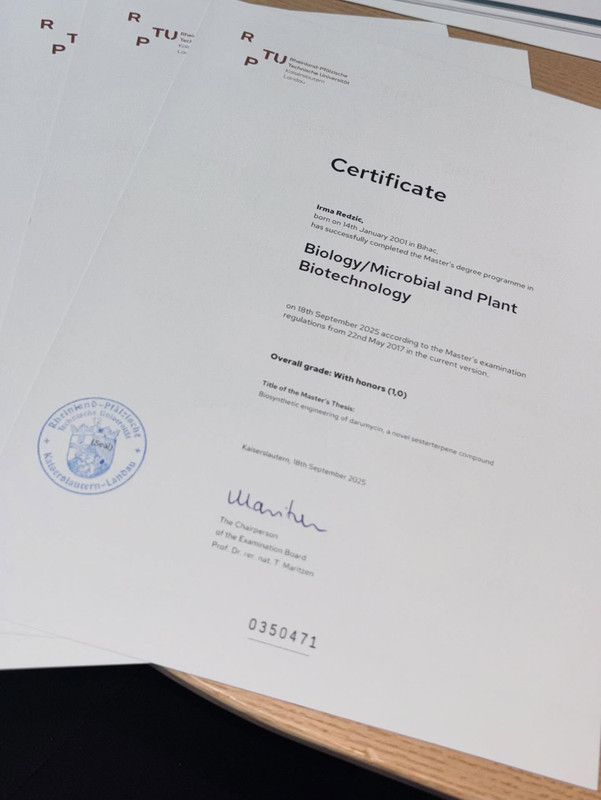 573805066 18430231822105561 1972729094101866988 n