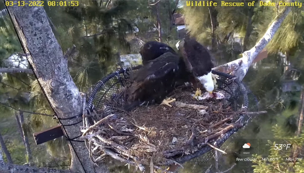 C5348EBB-9145-4B56-ADCD-BA0B5DCA47DE