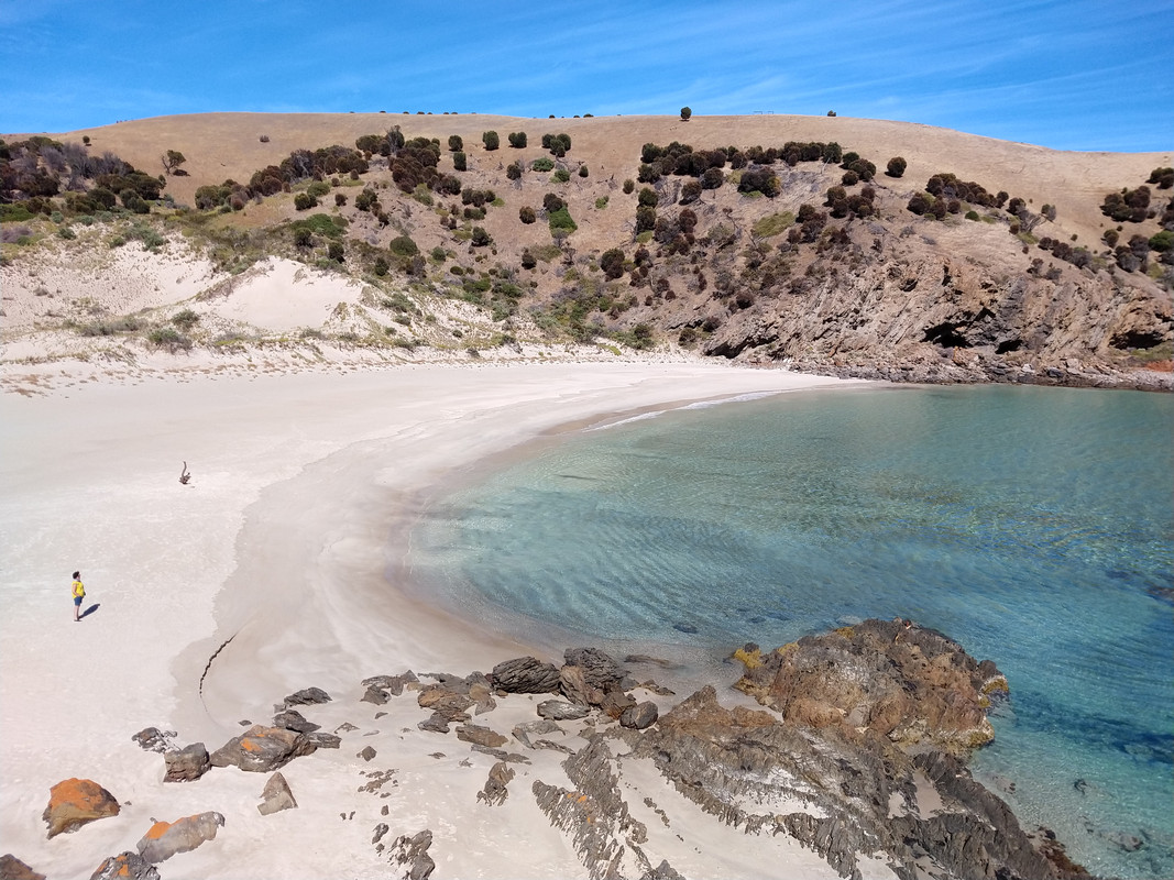 ISLA KANGURO - 3º DIA - AUSTRALIA , "QUE GRAN PAIS" (2)