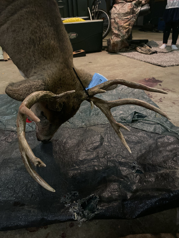 F243F2D1-7BF9-47B2-943F-F7C8855F0FFB