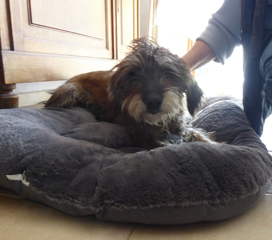 [Image: P1040848.jpg]