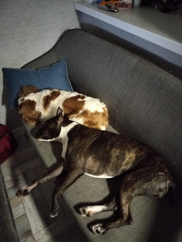 CED35249-D481-4BB0-8B59-2BBB46E6F8DB