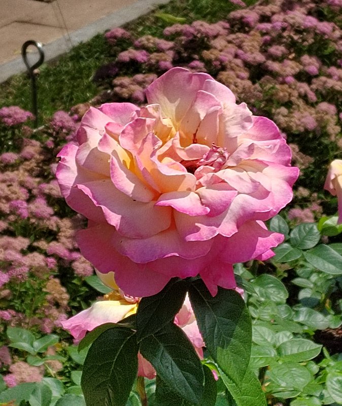 https://i.postimg.cc/nz9z6s4L/065-IMG-20230706-120852.jpg