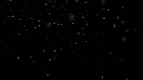 Shazim Creations 4 (27)