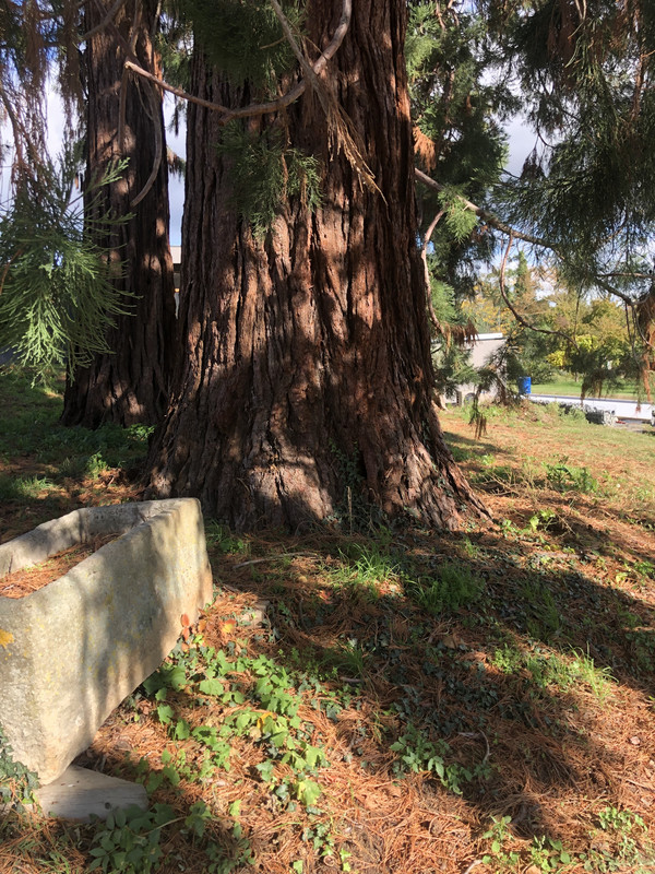 0D73C66A-B712-4DFE-8259-080956A594EA