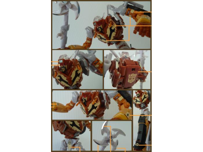 45052727_2403382863009592_2816620233953902592_n