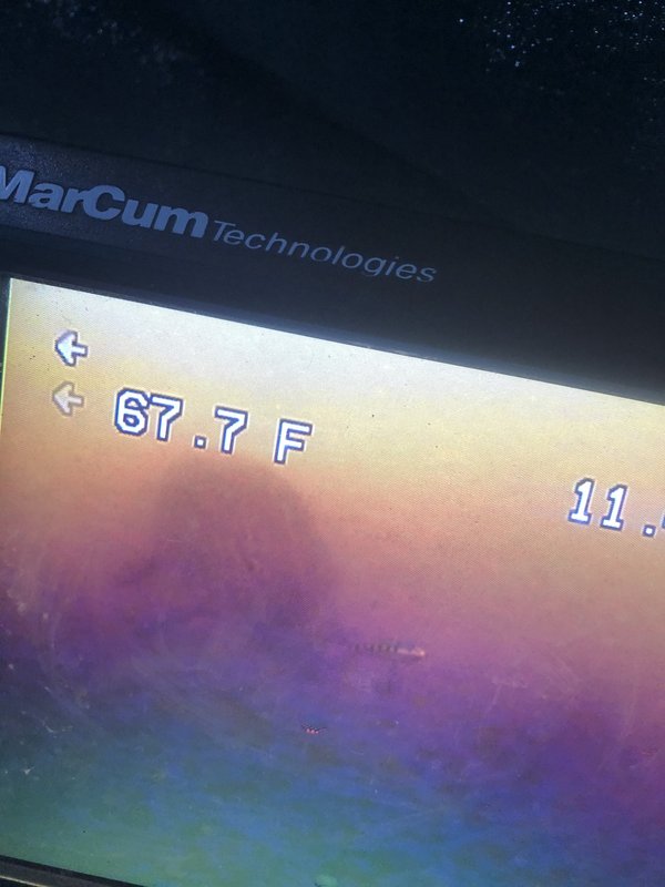 FB6466D8-AF0F-4091-A1CC-0BD3912C290C