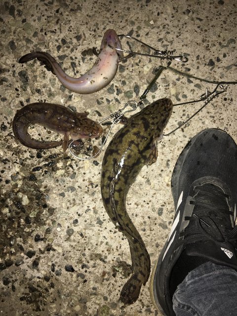 7D70292D-C170-43D2-B06B-27F9CCB5DDA1