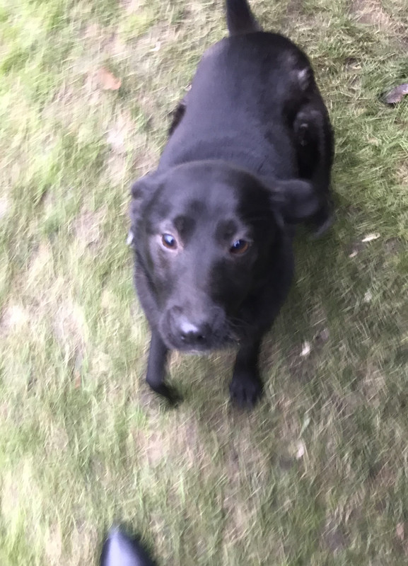 490C64F0-A43F-4BFE-8906-7D21795567CF