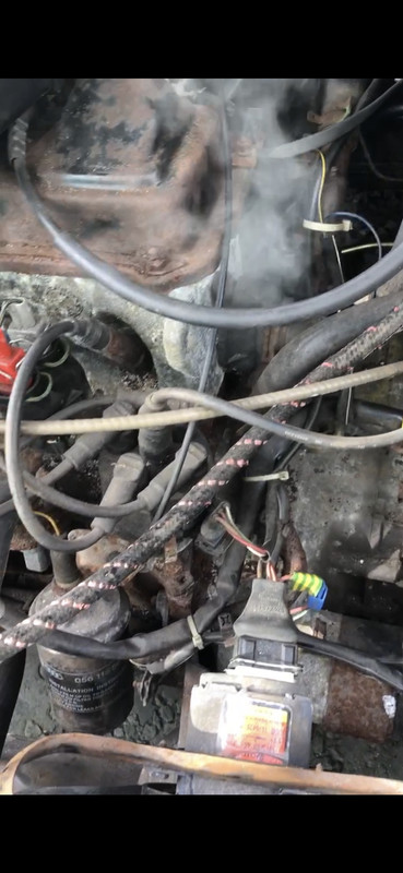 D34FF8BC-8107-456F-B5DD-BA802A2BF621