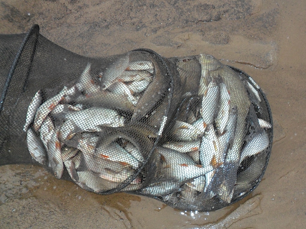 Добрянка 3.04.13. 6