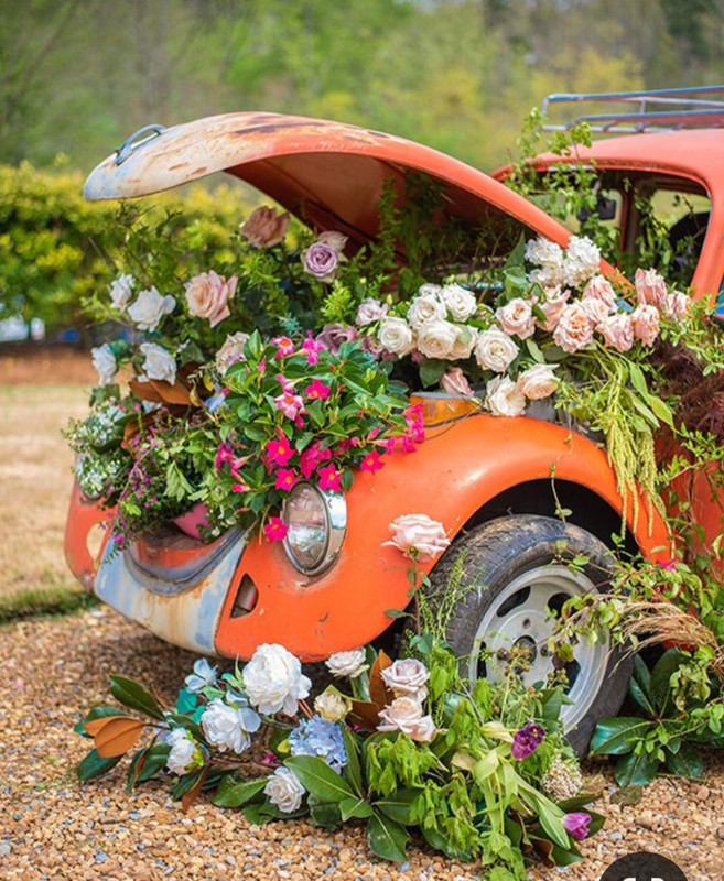 Screenshot_20240404_205417_Pinterest