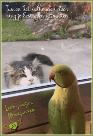 Tussen-het-groot.gif“border=”0