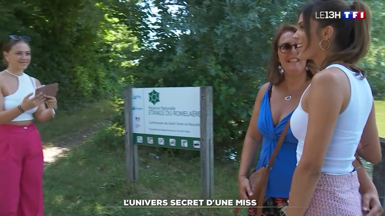 2022-08-07_13_00_TF1_Le-13h.mp4_snapshot_28.53.250
