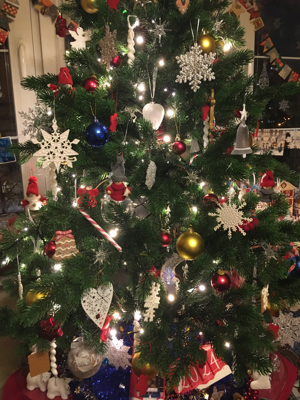 домашнее новогоднее 1 январское 2024 048