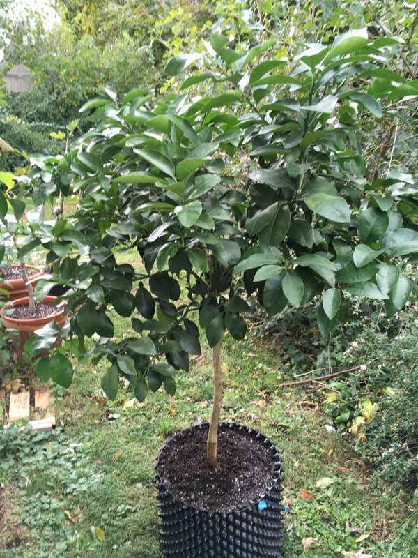 A6F5DBE7-3D40-4A01-87F7-22814E704A97