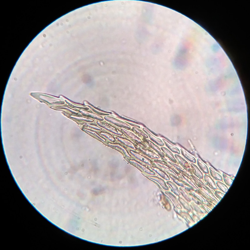 IMG 20250615 220637 HDR