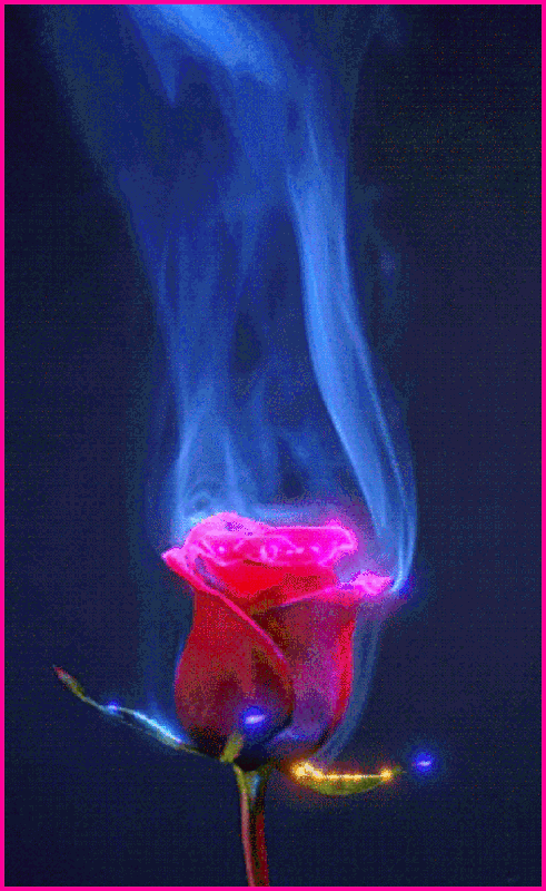 1DC767AD-F051-4A0F-83A9-984102563BE1