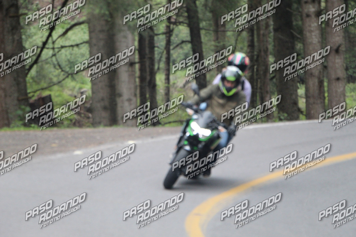 IMG 8385 wm 2109239 5 watermarked — Postimages