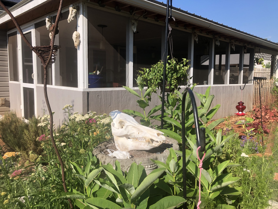 F13E514D-5423-4CEE-8BC2-BA3E8F7F7E79