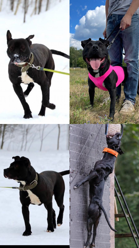 C0726835-B4F0-4A45-8DFC-63EFEFBEFA18