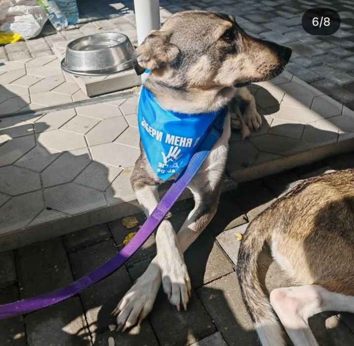 BUx Qx OGYXOu WK1XR2m Mczgjm Gp Hn7y X m Qbt WMsa V0Ctuc60NBC8d8 HEb61 nm RYCIq Bz S3nauk a Kfjqo XB