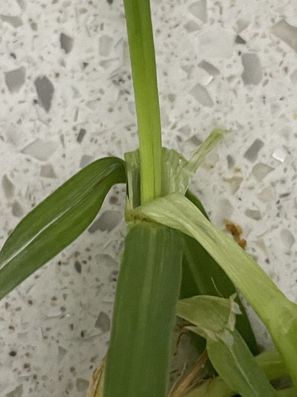 F901F1BD-B90F-4DA1-9669-8F473A7EEC1A