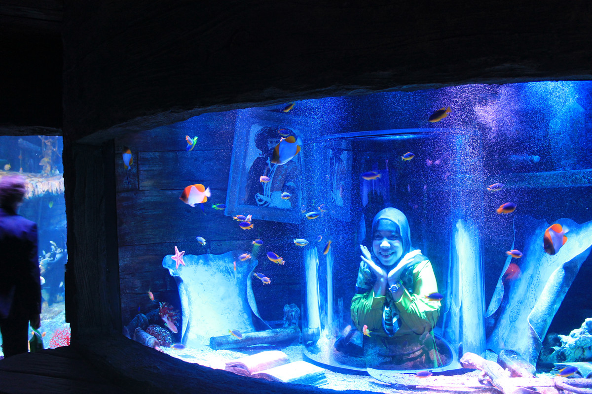 Pengunjung berfoto di salah satu aquarium di SEA LIFE Malaysia