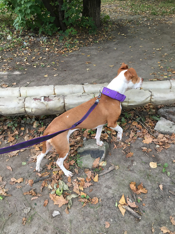 FC05864F-574C-404A-9336-AA0ED09B70EB