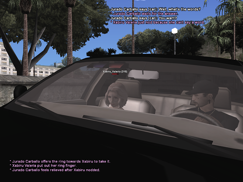 SS4.png