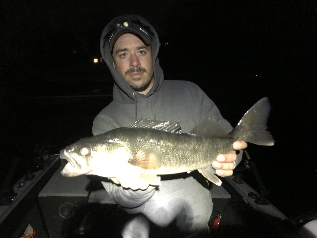 87161435-7153-4D29-963B-E64D85F67D71