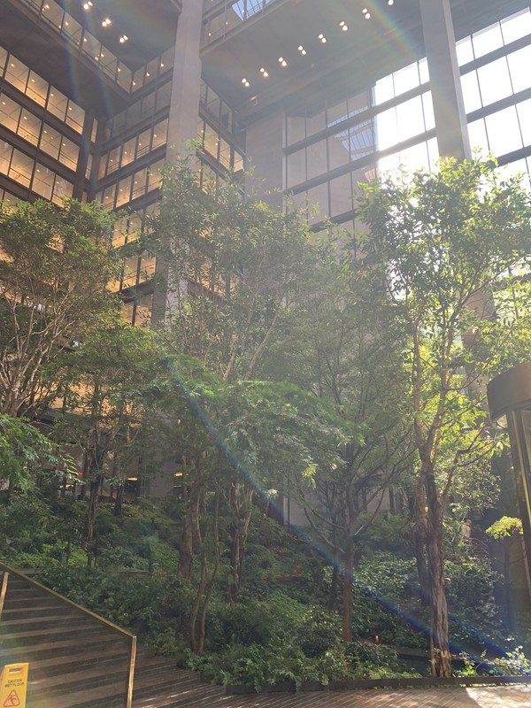 C676BCC8-6CA4-4230-A1BC-A3AB3A2EC839