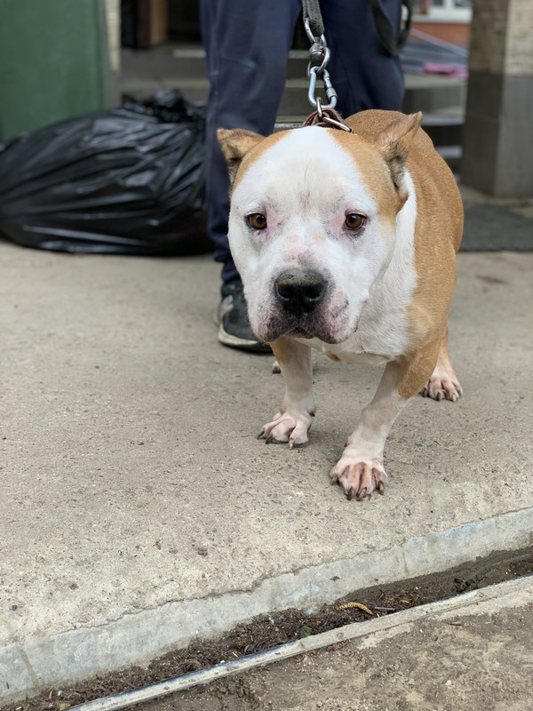 F771F4EC-91D3-4ABF-ACDC-6A03BD9D27C3