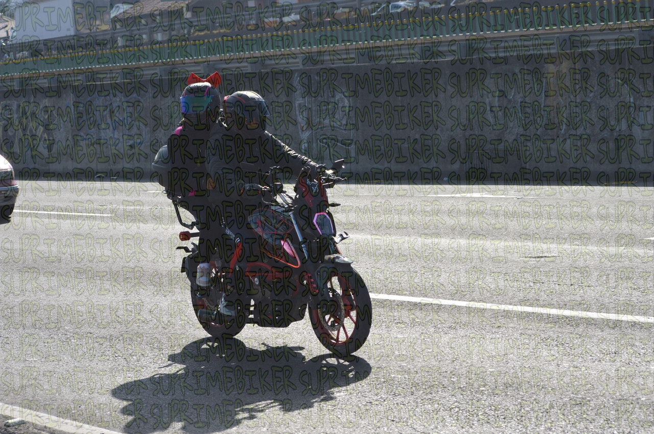 DSC 0144