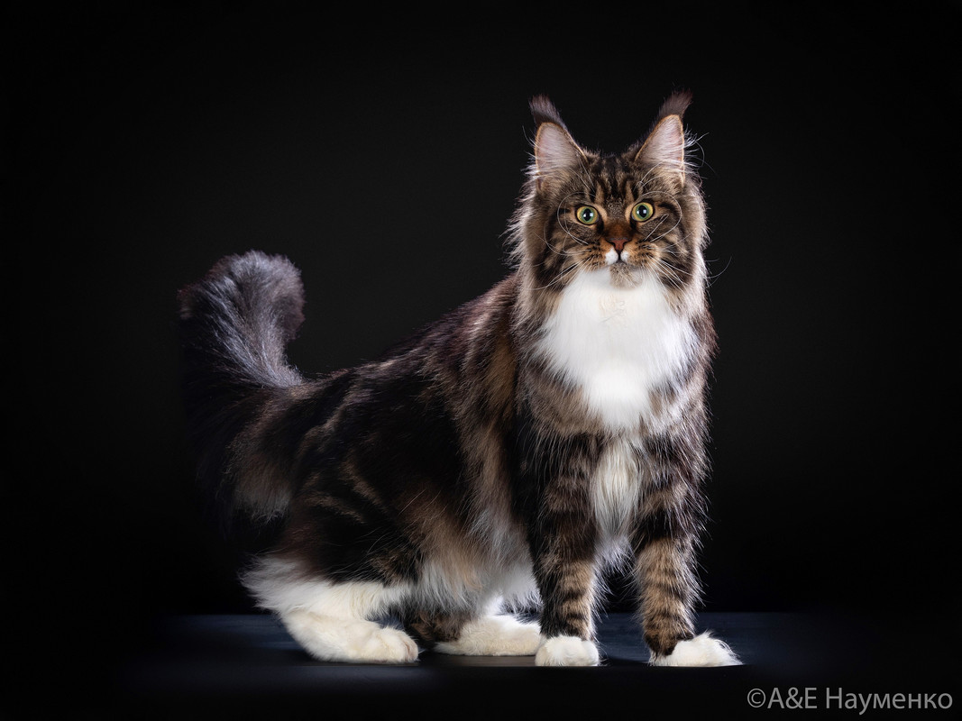 9BEAE9D4-B4E8-423C-A64B-7BAA4D5D6C82