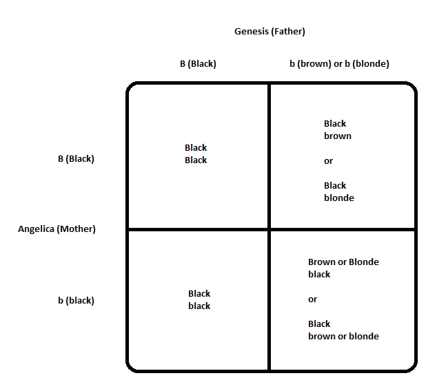 Genesis-and-Angelica-Hair-Color-Genotypes-and-Phenotypes2.png