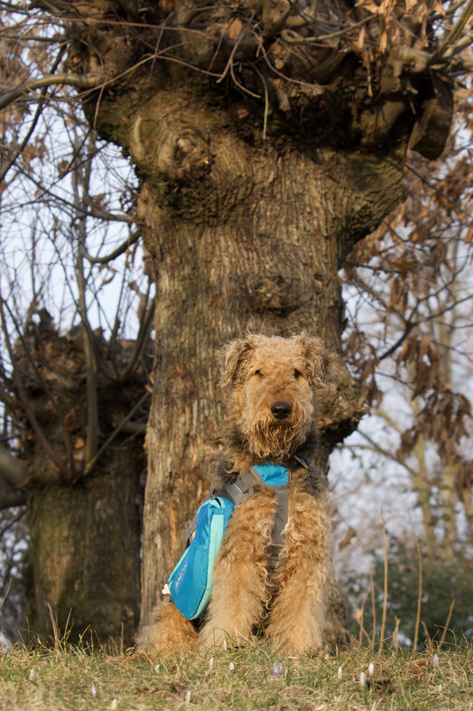 A24A7F0B-09AB-472B-A04E-D8D20192FF32