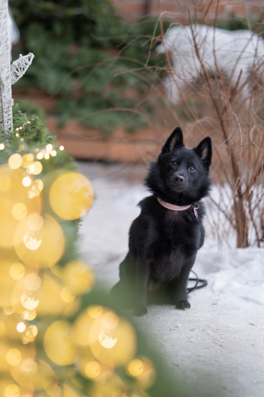 0B9D5362-4FD3-44A4-903F-F0F3B80675D6