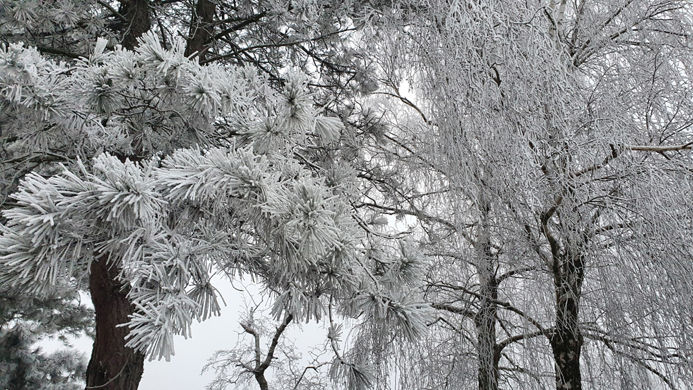 [Image: 20220127-084142.jpg]