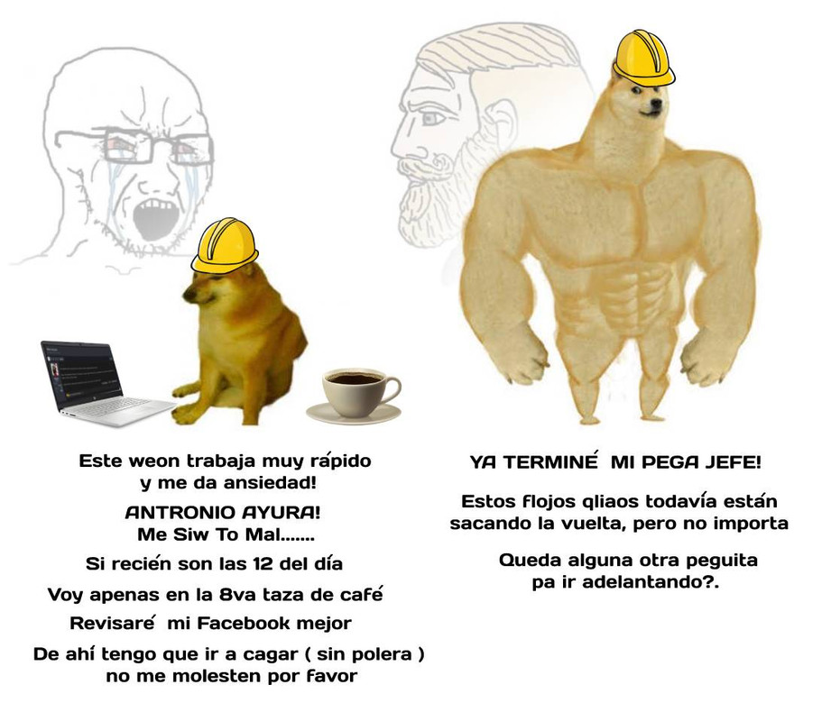 perros.jpg