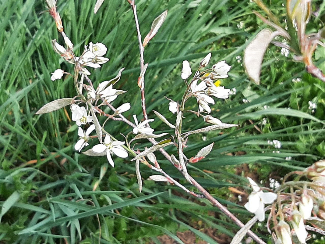 photo_2022-04-18_11-39-43