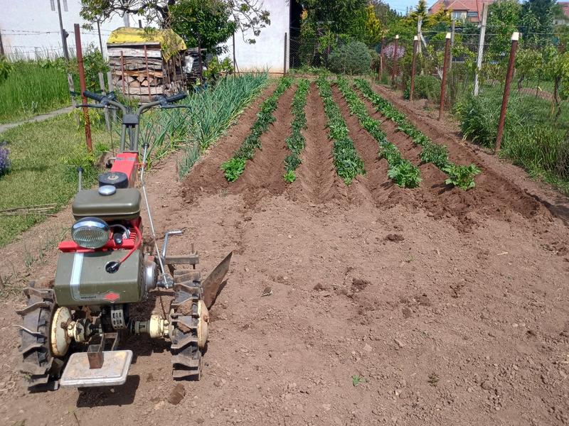 IMG 20250510 110614247 HDR